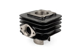 Cylinder Kit Top Performances 50cc cast iron Piaggio AC