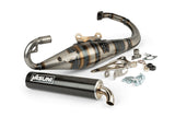 Exhaust Yasuni R-Pro Minarelli vertical Carbon