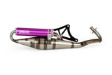 Exhaust Yasuni Z Piaggio Purple