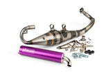 Exhaust Yasuni R-Pro Piaggio Purple