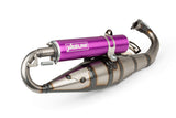 Exhaust Yasuni C16 Piaggio Purple