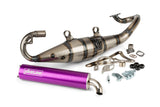 Exhaust Yasuni R Minarelli horizontal Purple