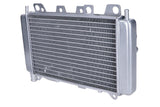 Radiator Gilera Runner 125 - 180 2-stroke