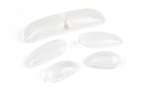 Indicator / Taillight Lens Set white Piaggio Typhoon / NRG