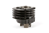 Cylinder Kit Top Performances Trophy 70cc 12mm pin CPI Euro 2 AC
