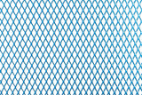 Racing Grille Mesh STR8 medium (30x30cm) blue