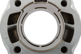 Cylinder Kit Airsal 80cc Racing Tech Minarelli AM6