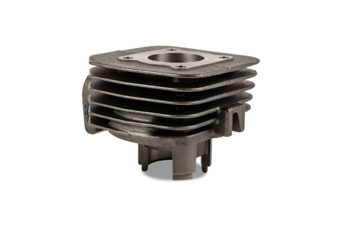 Cylinder Kit Polini 50cc gjutjärn Peugeot horisontell AC