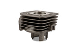 Cylinder Kit Polini 50cc cast iron Peugeot horizontal AC