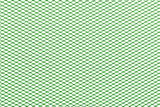 Racing Grille Mesh STR8 fine (30x30cm) green