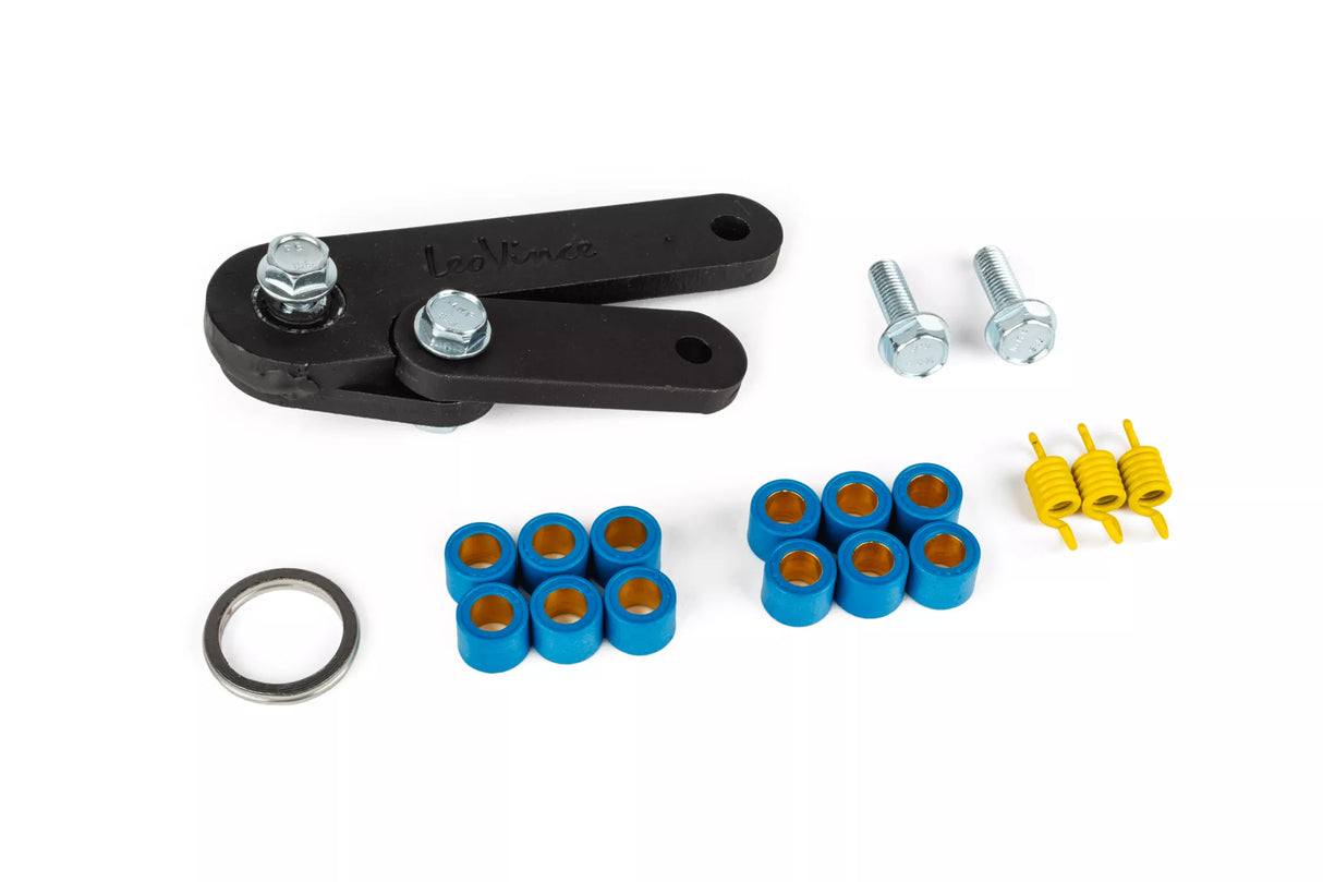 LEOVINCE TT HANDMADE AVGASYSSTEM STÅENDE MINARELLI