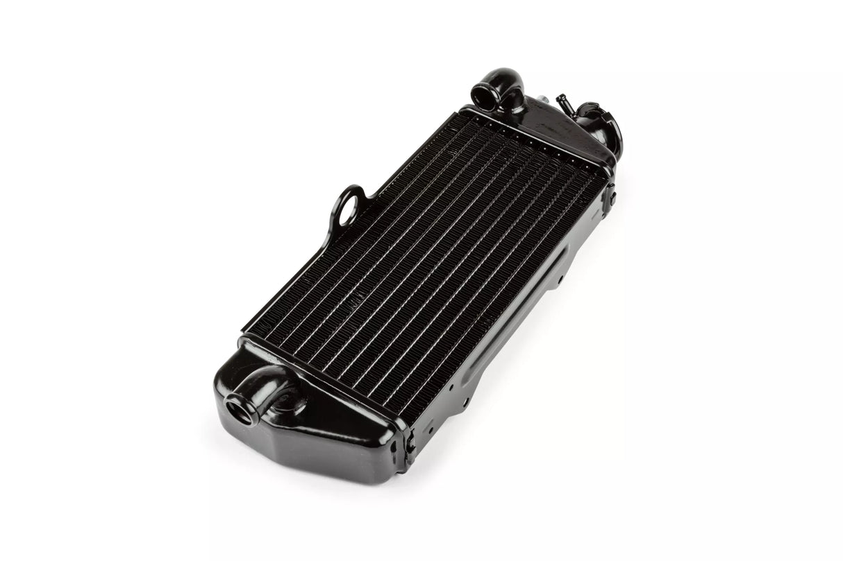 KYLARE OEM BETA RR